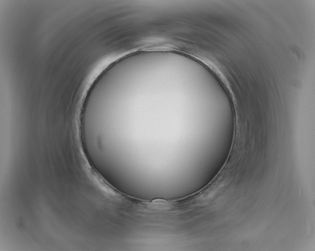 X0000111791488200908061126