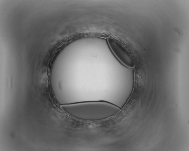 X0000111791493200908061125