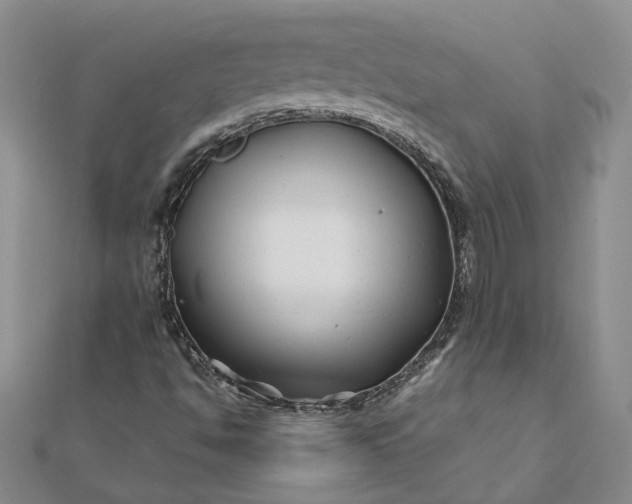 X0000111791494200908061125