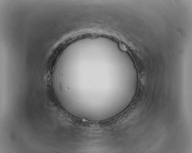 X0000111791495200908061125