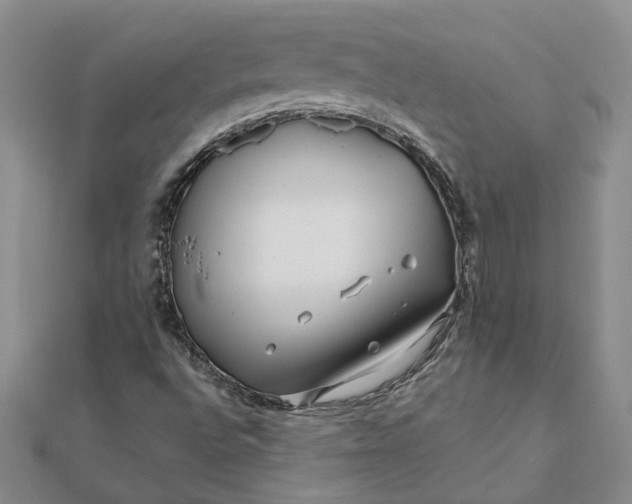 X0000111791496200908061125