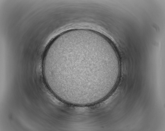 X0000111791498200908061125