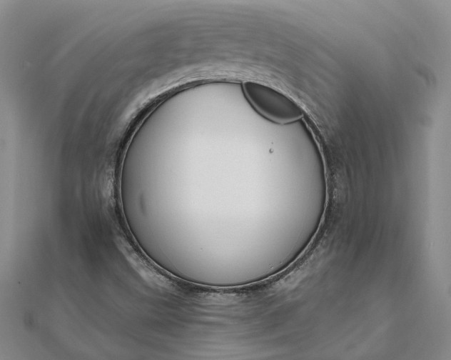 X0000111791499200908061125