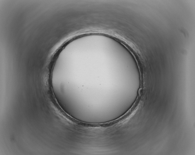 X0000111791502200908061125