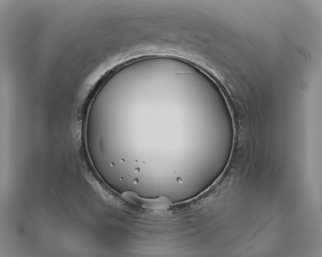 X0000111791503200908061125