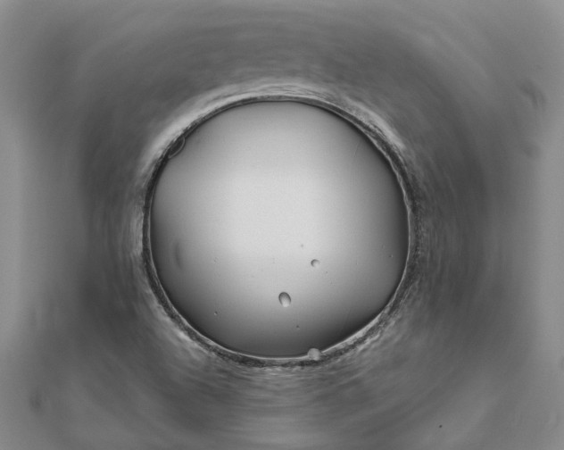 X0000111791504200908061125