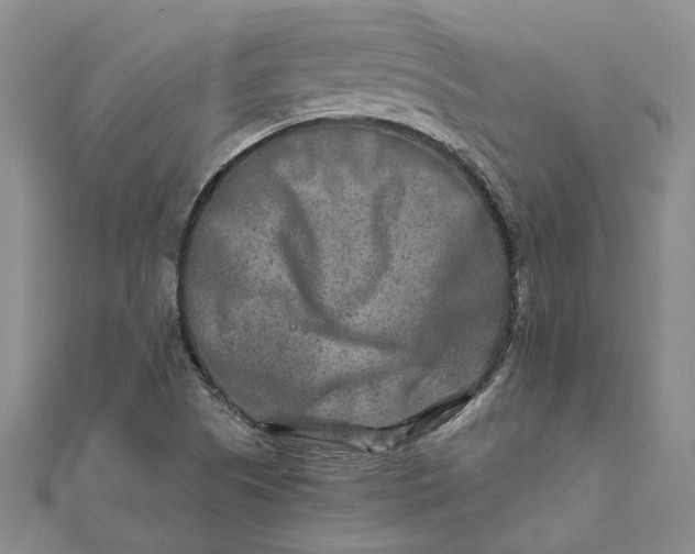 X0000111791505200908061125