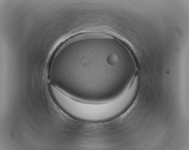 X0000111791506200908061125