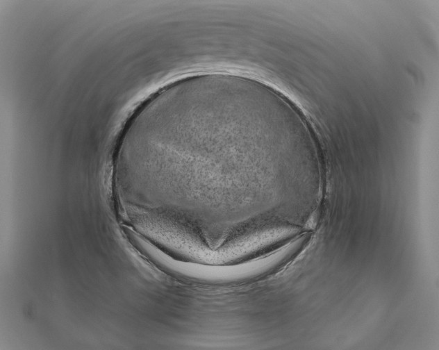 X0000111791507200908061125