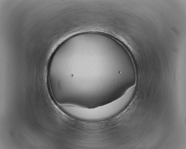 X0000111791508200908061125