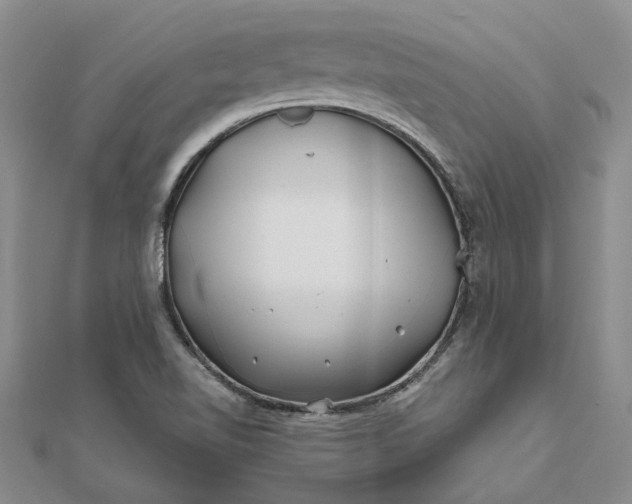 X0000111791510200908061125