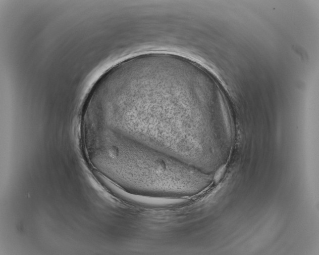 X0000111791511200908061125