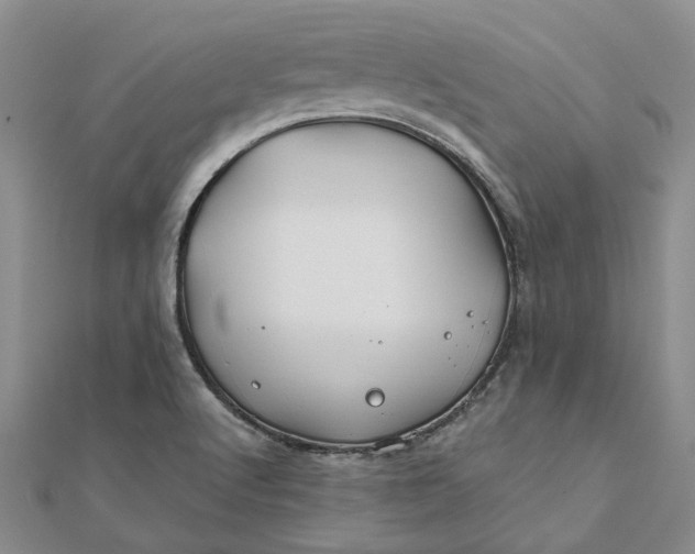 X0000111791512200908061125