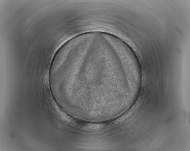 X0000111791513200908061125