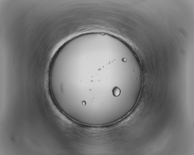 X0000111791518200908061126