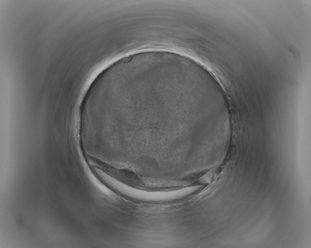 X0000111791519200908061126