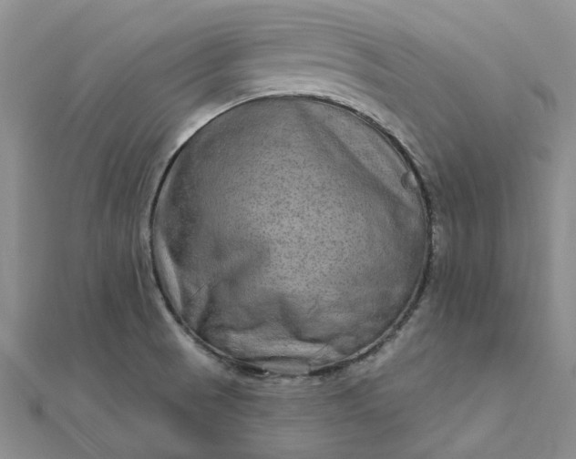 X0000111791521200908061126