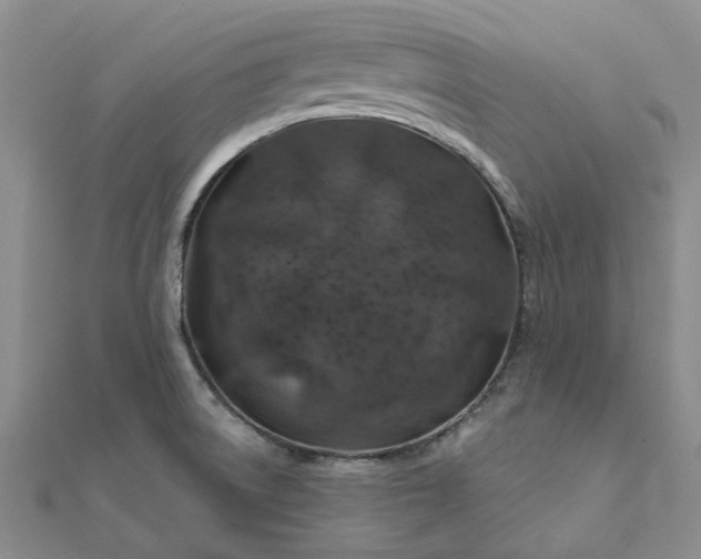 X0000111791522200908061126