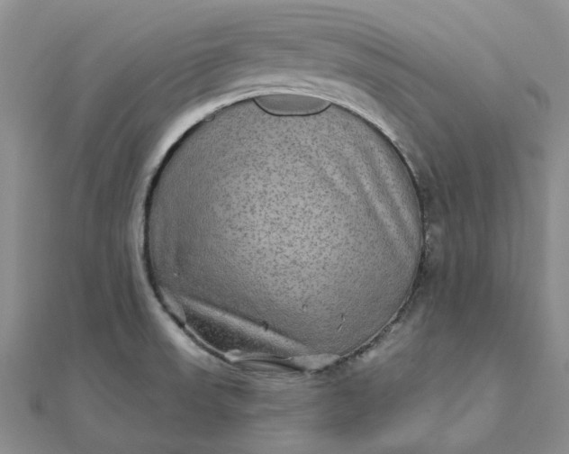 X0000111791523200908061126