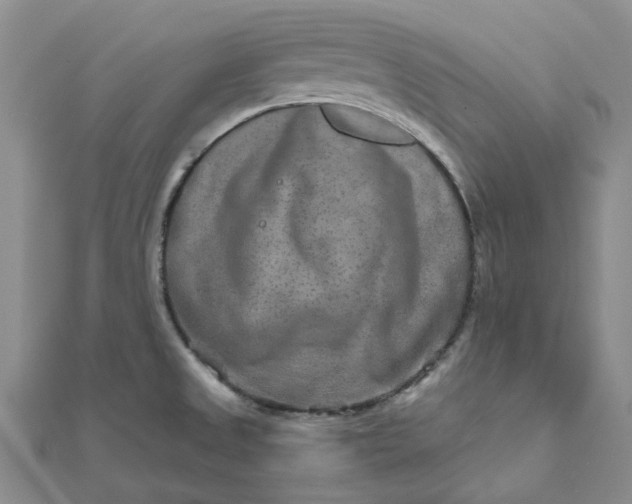 X0000111791525200908061126