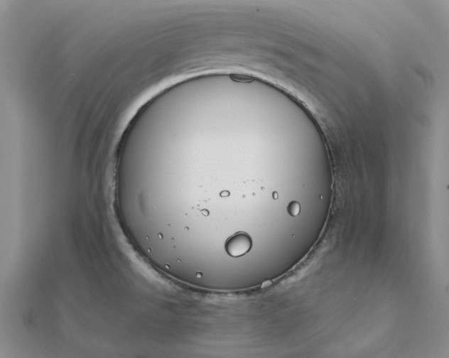 X0000111791526200908061126