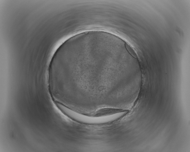 X0000111791527200908061126