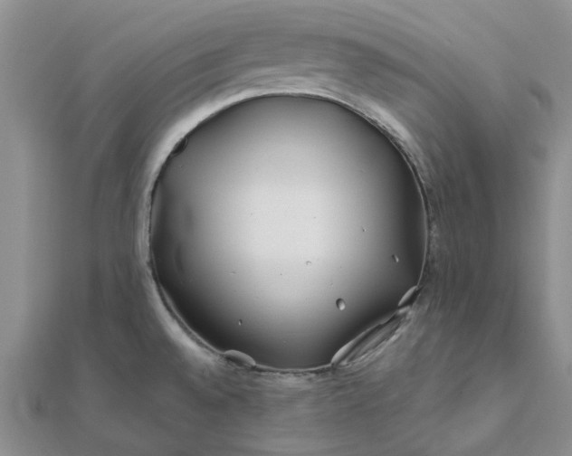 X0000111791528200908061126