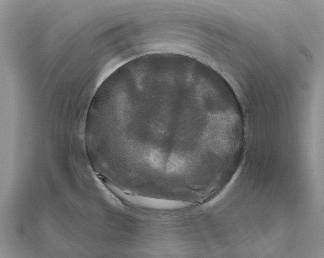 X0000111791529200908061126