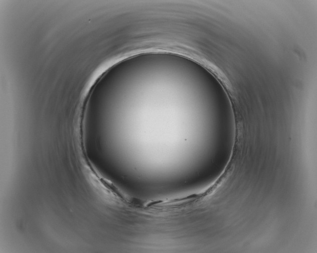 X0000111791530200908061126