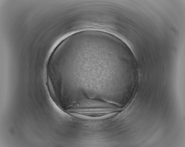 X0000111791531200908061126