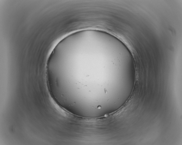 X0000111791532200908061126