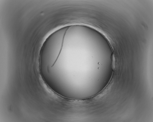 X0000111791534200908061126