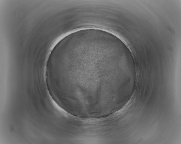 X0000111791535200908061126