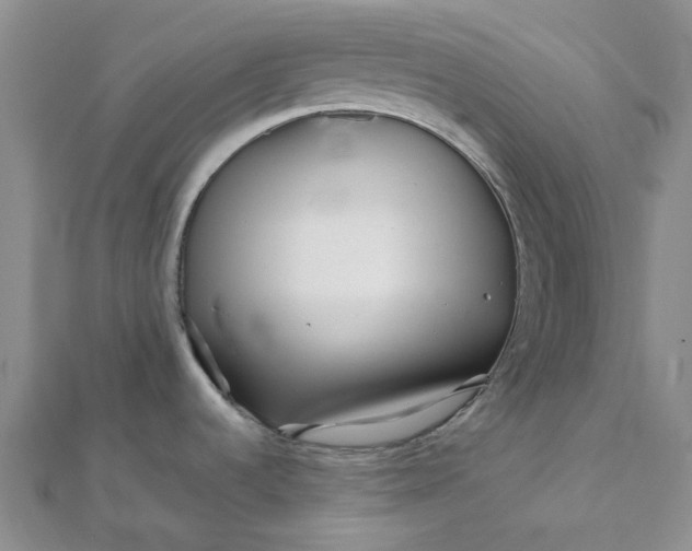 X0000111791536200908061126