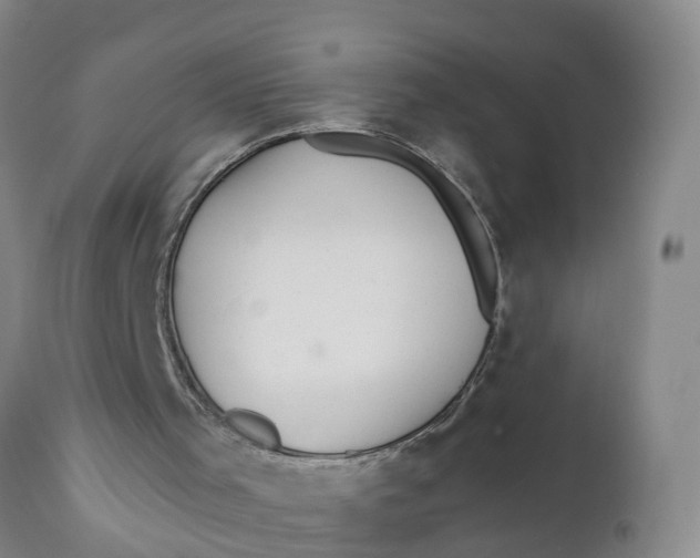 X0000111790001200908131423