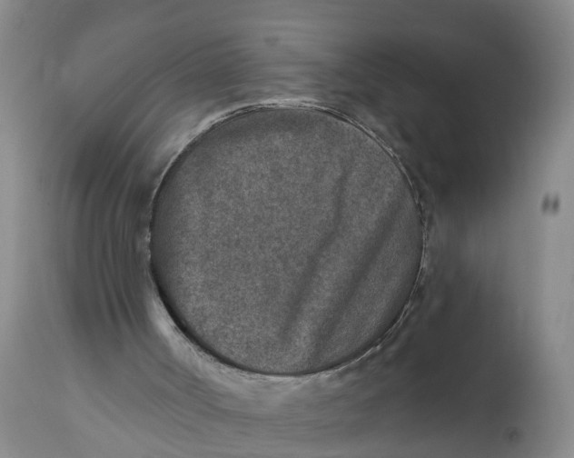 X0000111790002200908131423