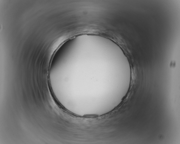 X0000111790003200908131423