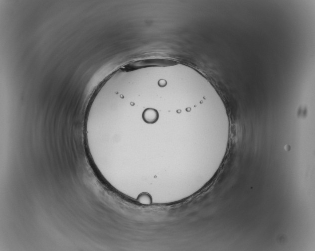 X0000111790004200908131423