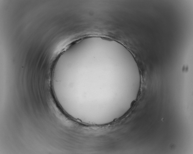 X0000111790005200908131423