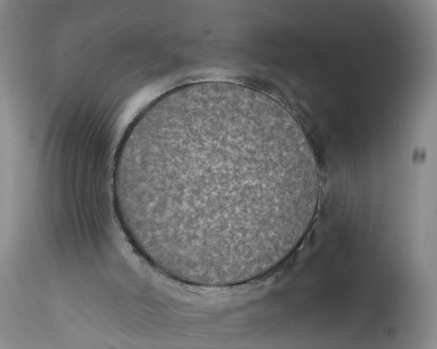 X0000111790006200908131423