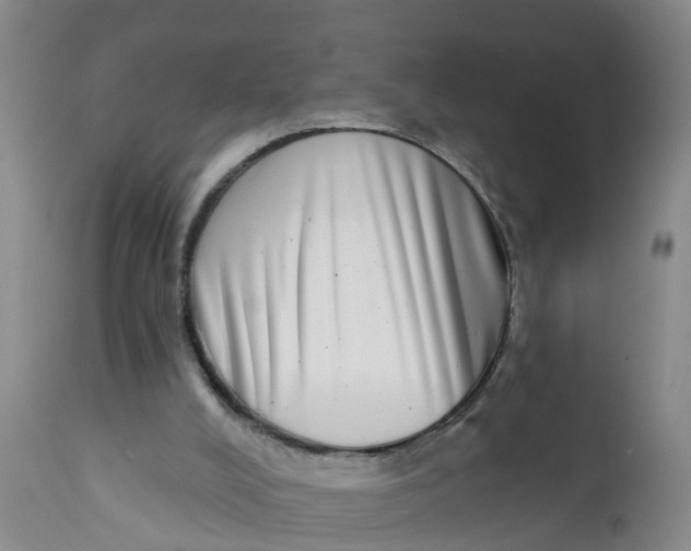 X0000111790008200908131423