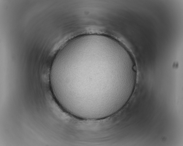 X0000111790009200908131423