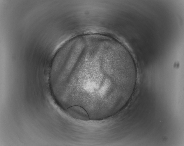 X0000111790010200908131423