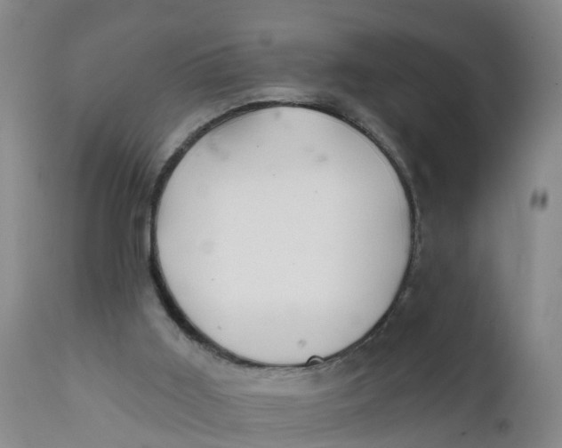 X0000111790011200908131423