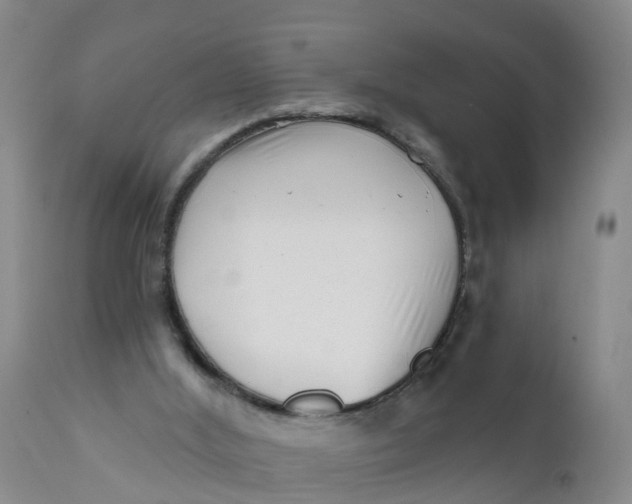 X0000111790012200908131423