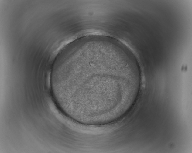 X0000111790014200908131423