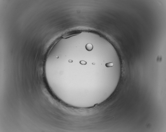 X0000111790015200908131423