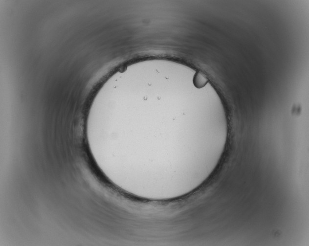 X0000111790016200908131423