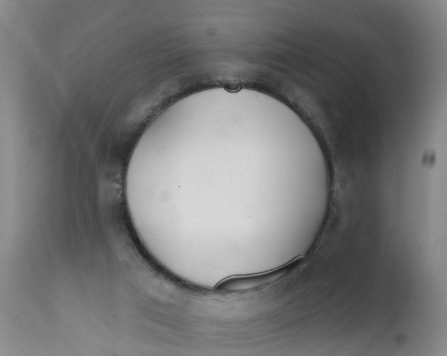 X0000111790017200908131423