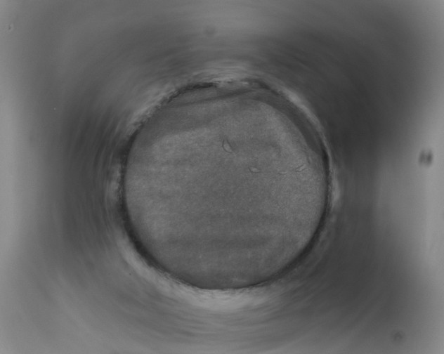 X0000111790018200908131423